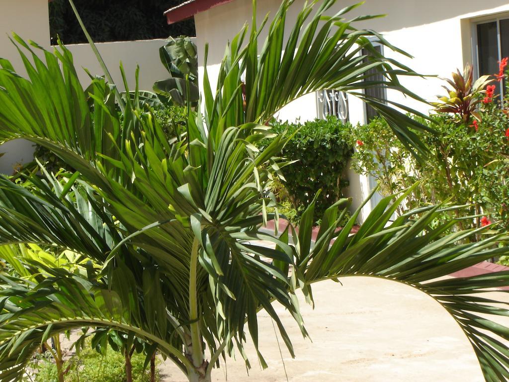 Kotu Island Lodge Exterior photo